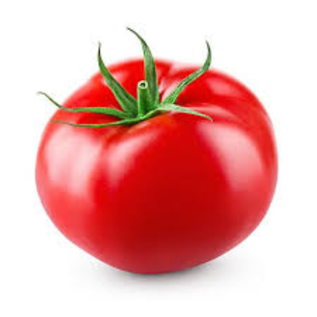 Buy Vine-Ripened Tomatoes from UAE Distributor